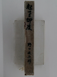 起てよ印度