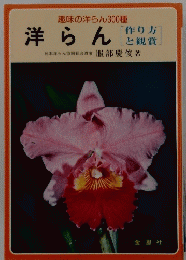洋らん