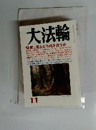 大法輪 2008年 11月号 [雑誌]