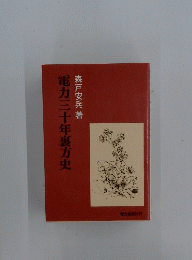 電力三十年裏方史