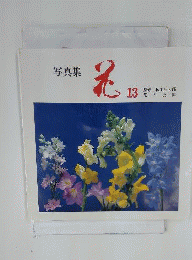 写真集 花 13