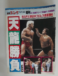 天龍勝負