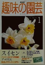 趣味の園芸　2000年1月号