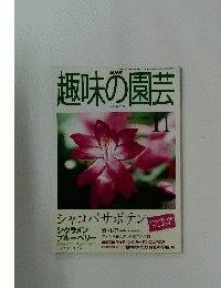 趣味の園芸　1999年11月号