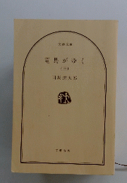 竜馬がゆく　（三）