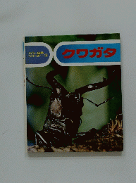 クワガタ