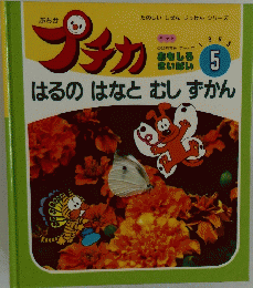 プチカ　1995年5月号