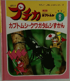 プチカ　1995年8月