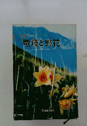 竜飛と野花 　カラー