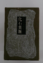 化石葉脈