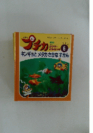 プチカ　1995年6月号　キンギョとメダカさかなずかん