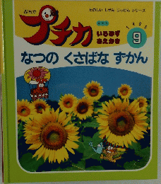 プチカ　1995年9月号　なつのくさばなずかん