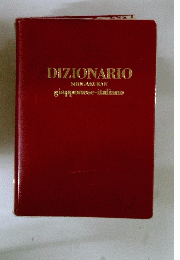 DIZIONARIO