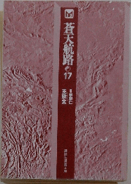 蒼天航路　17