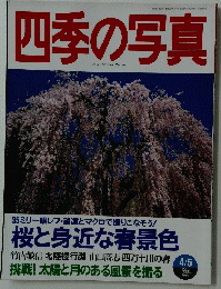 四季の写真　1999年4月5日号
