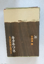 キタキツネ