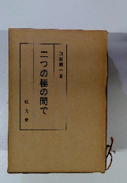 二つの極の間で