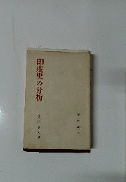 印度史の分析