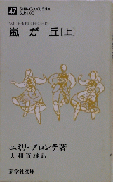 嵐が丘[上]