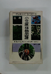 小笠原植物図譜