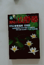 趣味の山野草　2月号