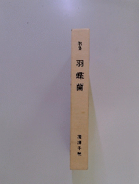 羽蝶蘭