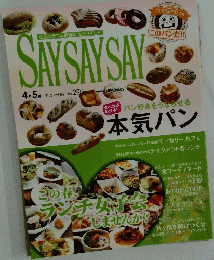SAYSAYSAY　2013年4月5月