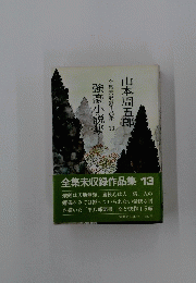 強豪小説集　13
