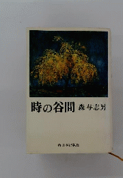 時の谷間
