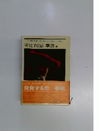 突発する恋拳銃
