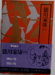 徳川家康　6　龍虎の巻 華厳の巻