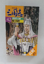 三国志　42　蜀漢その後