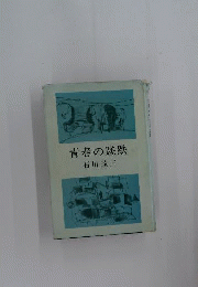 青春の蹉跌