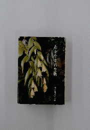 わかやまの生物