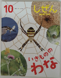 しぜん　10