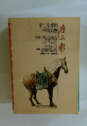 The Tri-Color Pottery of T’ang Dynasty: the Colorful Art in the Middle Ages of China