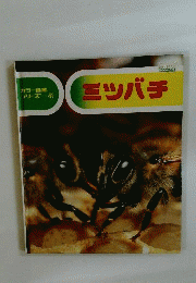 ミツバチ (カラー自然シリーズ)