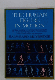 The Human Figure in Motion 