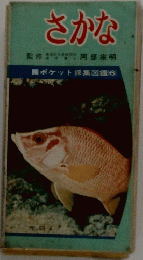 さかな