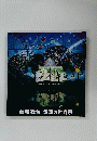 影絵の世界展 2001 図録