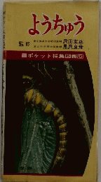 ようちゅう