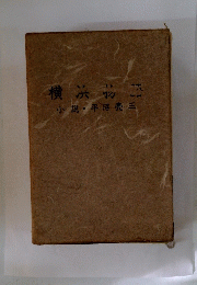 小説・平沼亮三