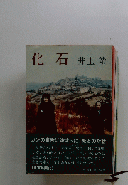 化石