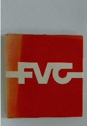 FVG
