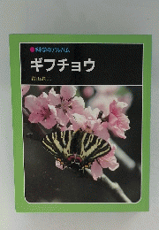 ギフチョウ