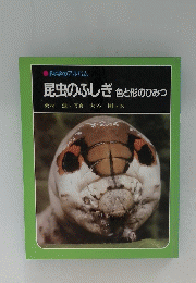 昆虫のふしぎ色と形のひみつ