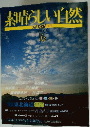 素晴らしい自然　series 16