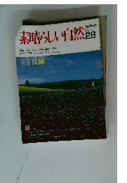 素晴らしい自然26