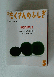たくさんのふしぎ　1996年5月号