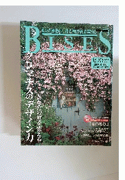 BISES ビズ 2004年4月号 未使用CD付き